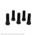 Birlo Nissan Tsuru, Sentra, varios